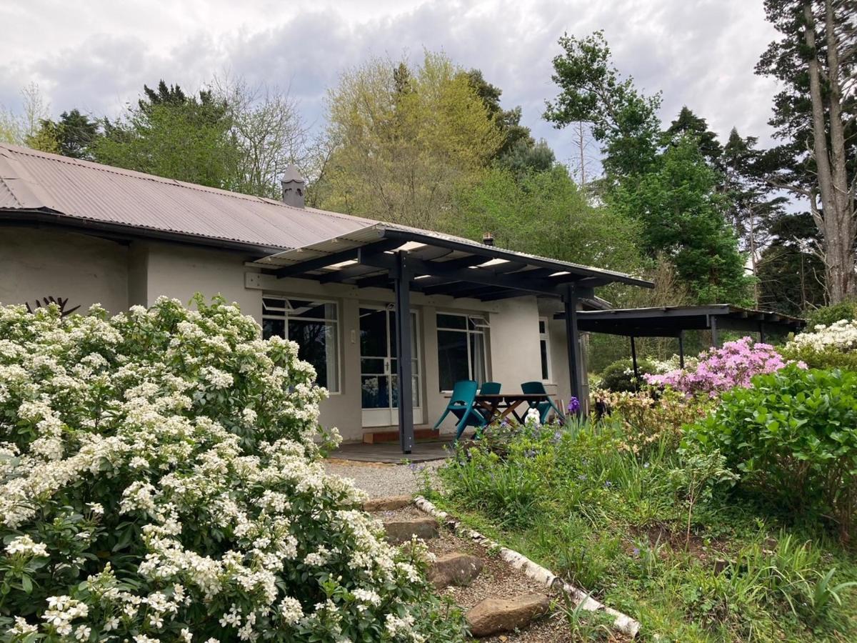 Bramber Cottage Hogsback, Living With Joy! ภายนอก รูปภาพ