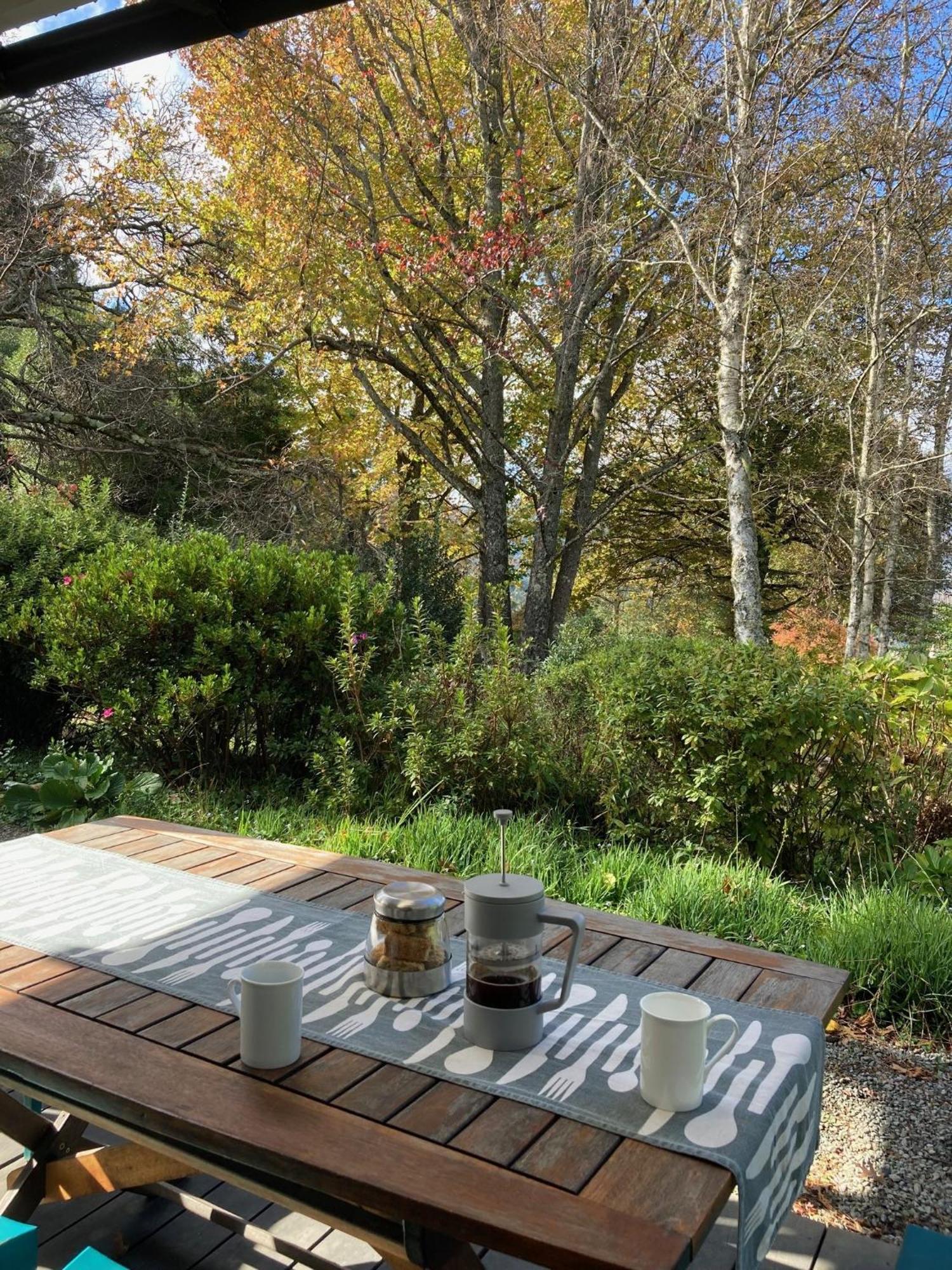 Bramber Cottage Hogsback, Living With Joy! ภายนอก รูปภาพ