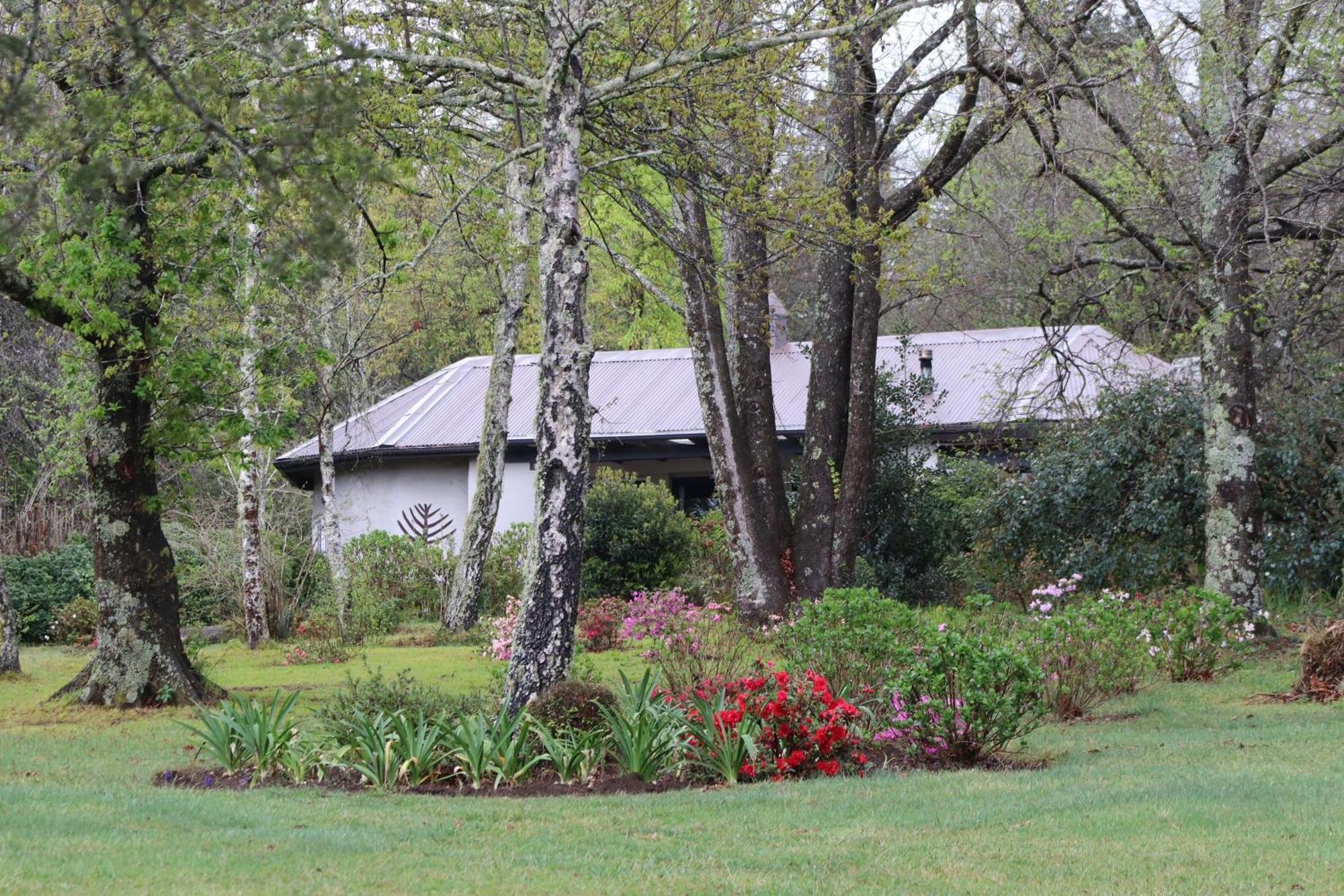 Bramber Cottage Hogsback, Living With Joy! ภายนอก รูปภาพ