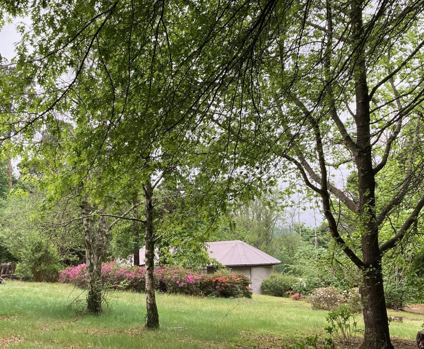 Bramber Cottage Hogsback, Living With Joy! ภายนอก รูปภาพ